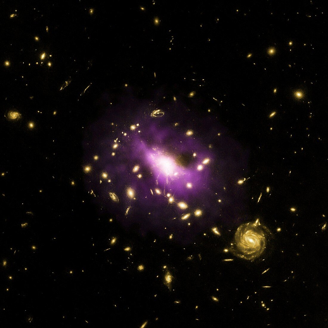Galaxy cluster RX J1532,composite image