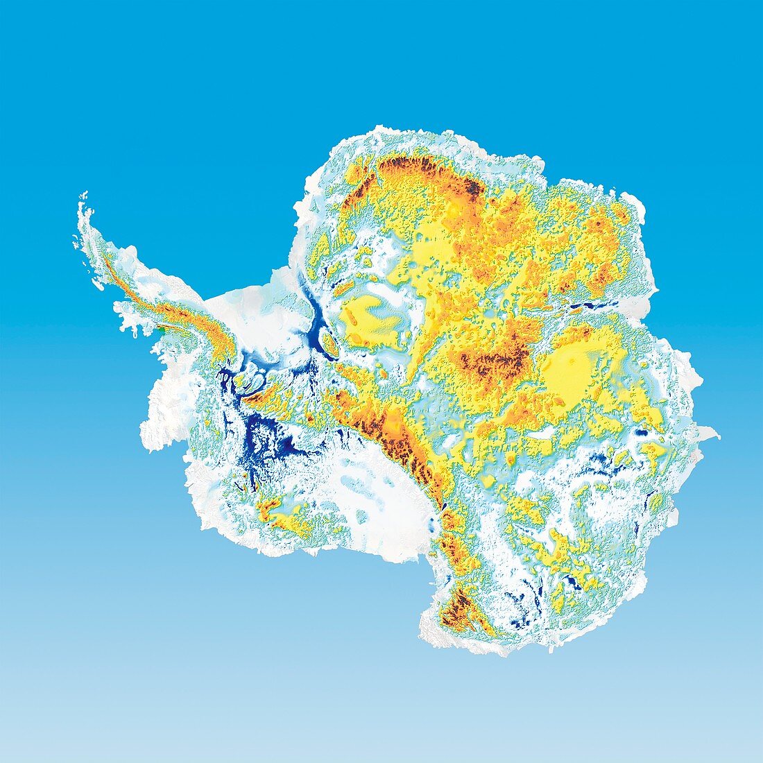 Antarctic bedrock,elevation map