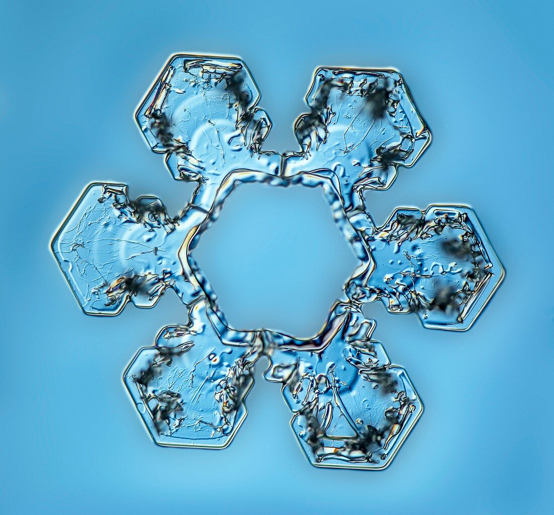 Snowflake crystal,LM