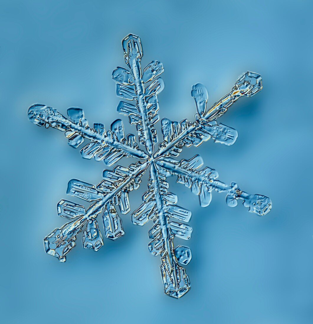 Snowflake crystal,LM