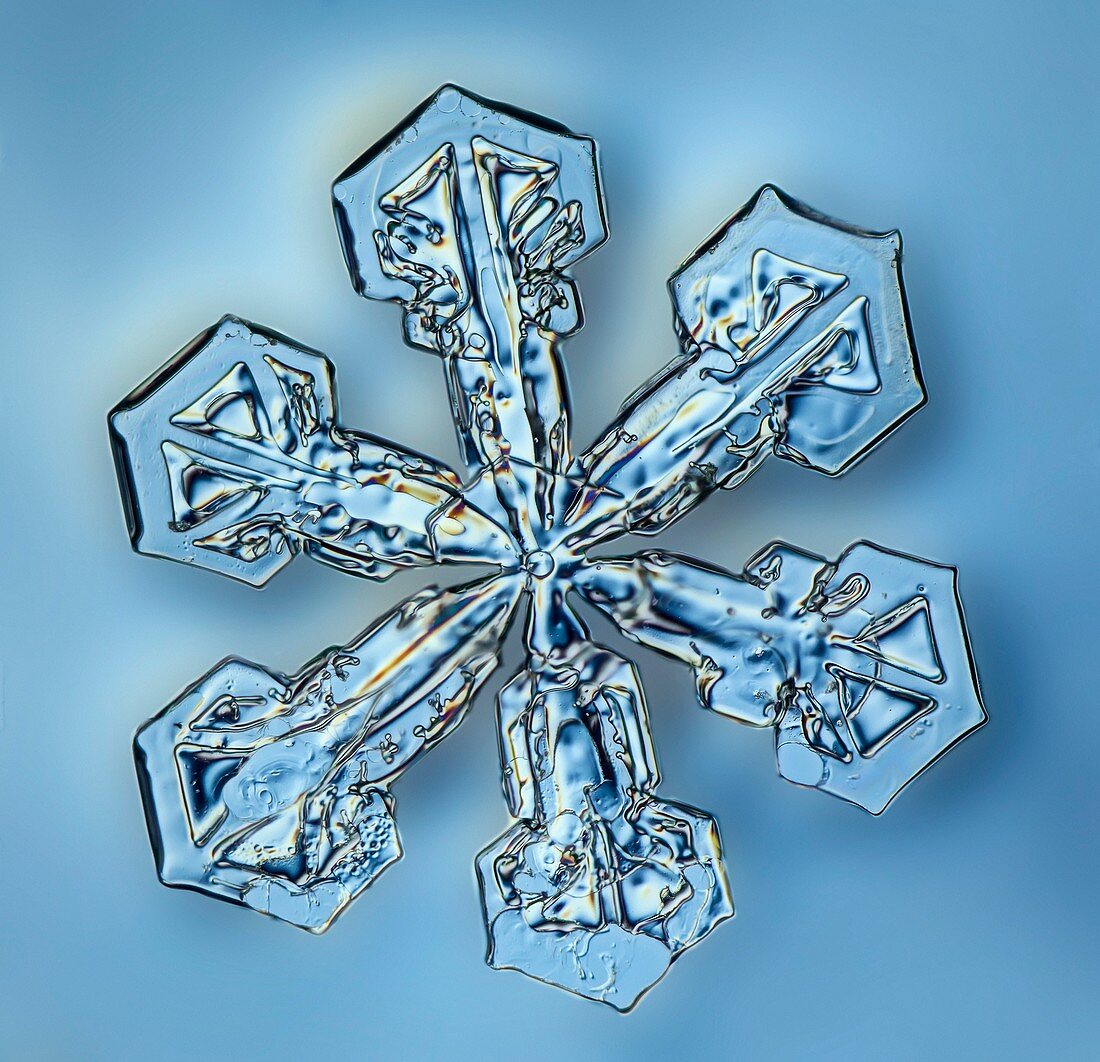 Snowflake crystal,LM