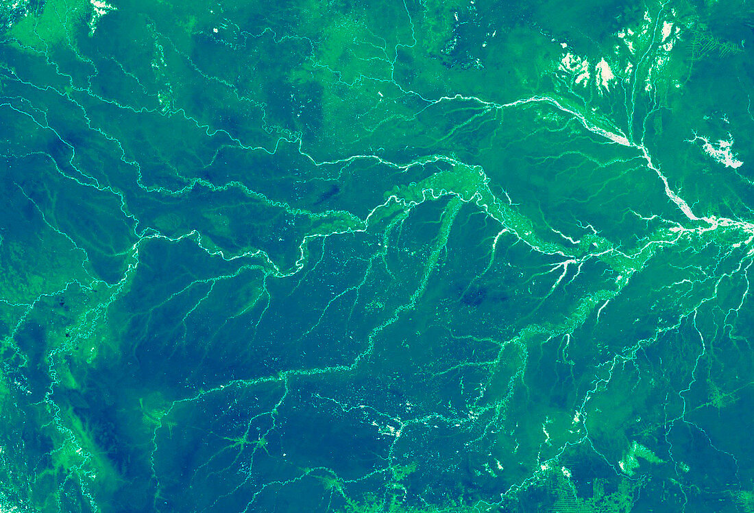 Amazon rainforest,satellite image