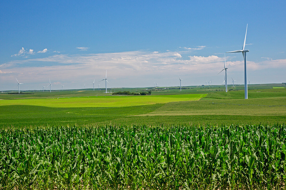 Wind turbines on Nebraska farm