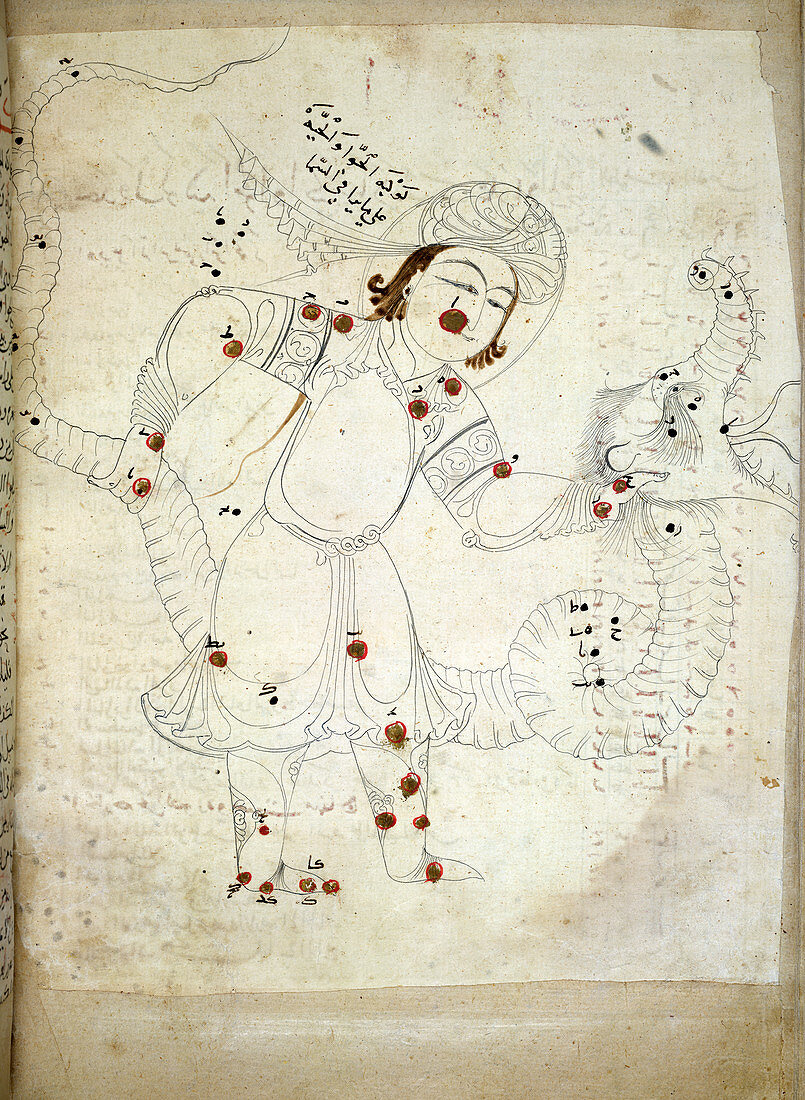 Ophiuchus constellation,13th century