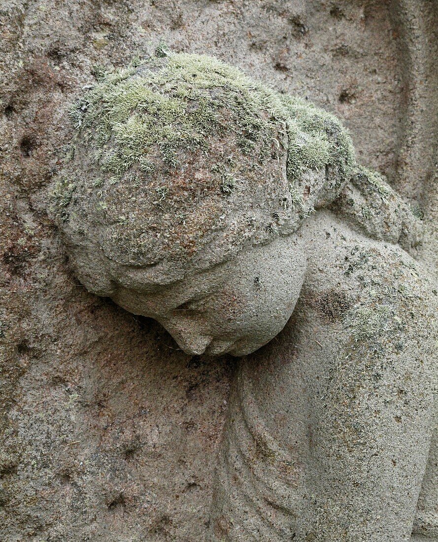 Lichen growing on gravestone