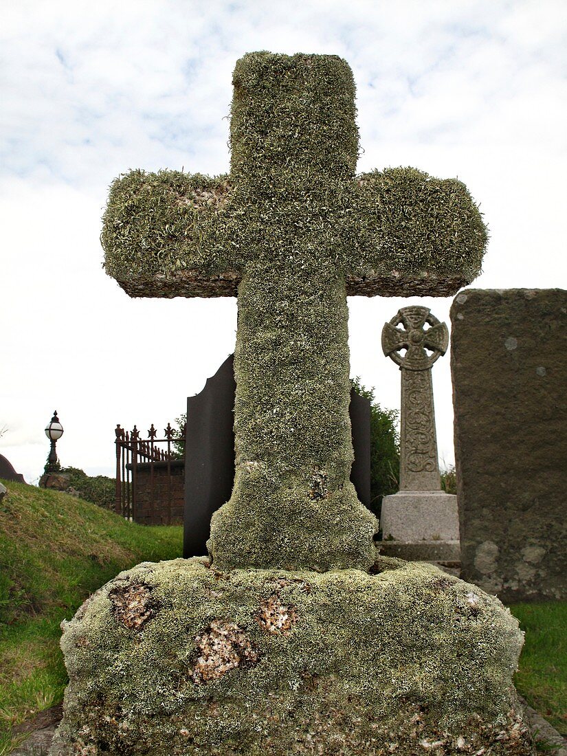 Lichen on a stone cross in clean air