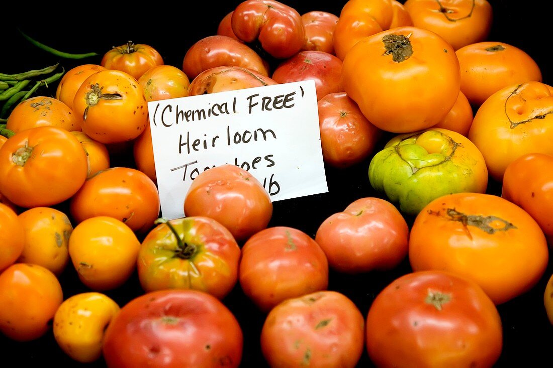 Chemical-free tomatoes