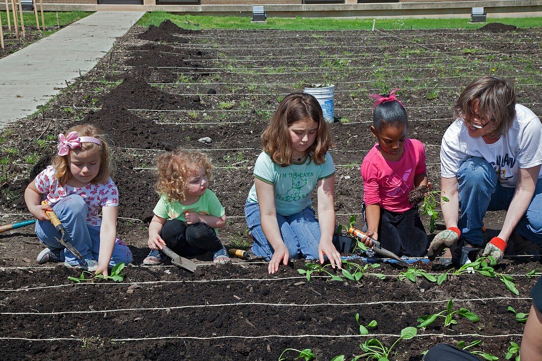 Children at work in a community garden