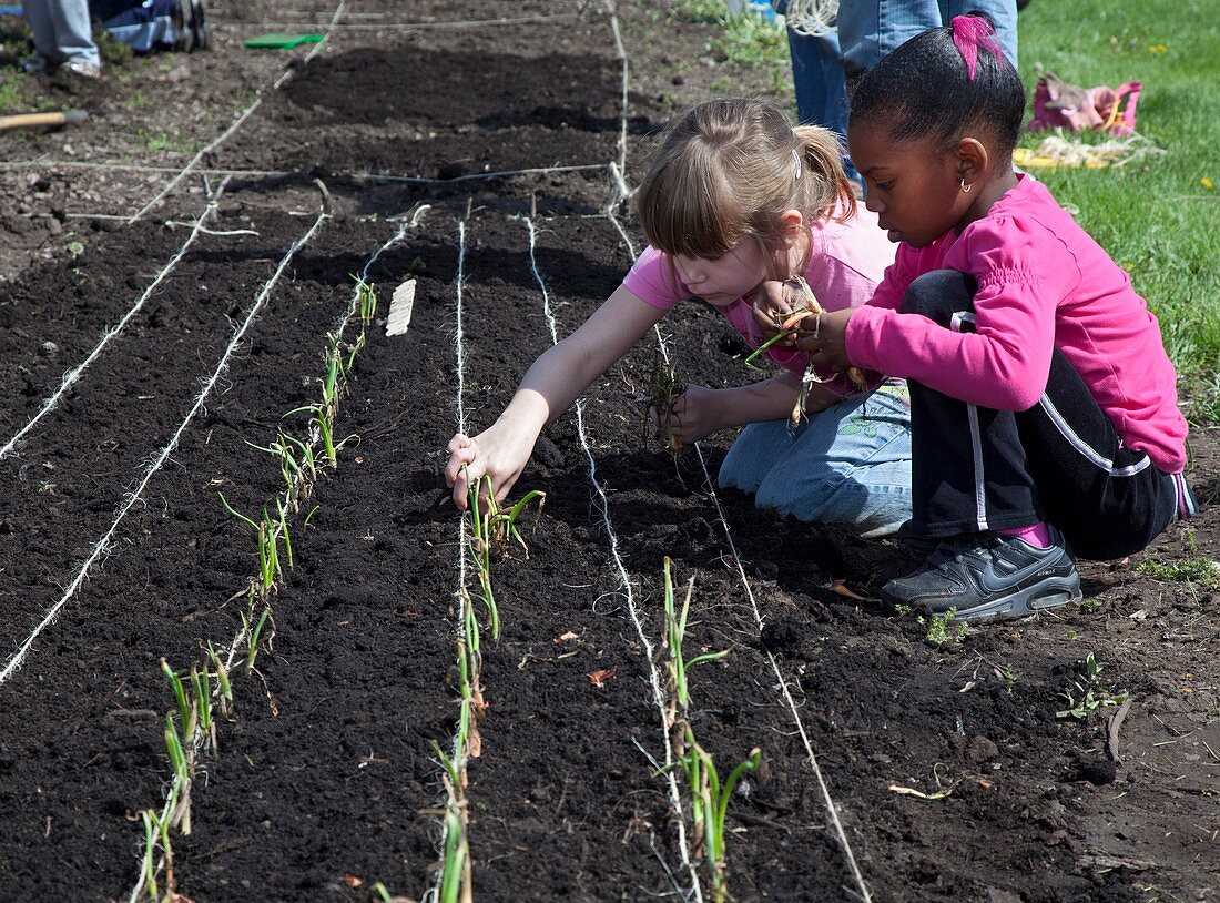 Children at work in a community garden