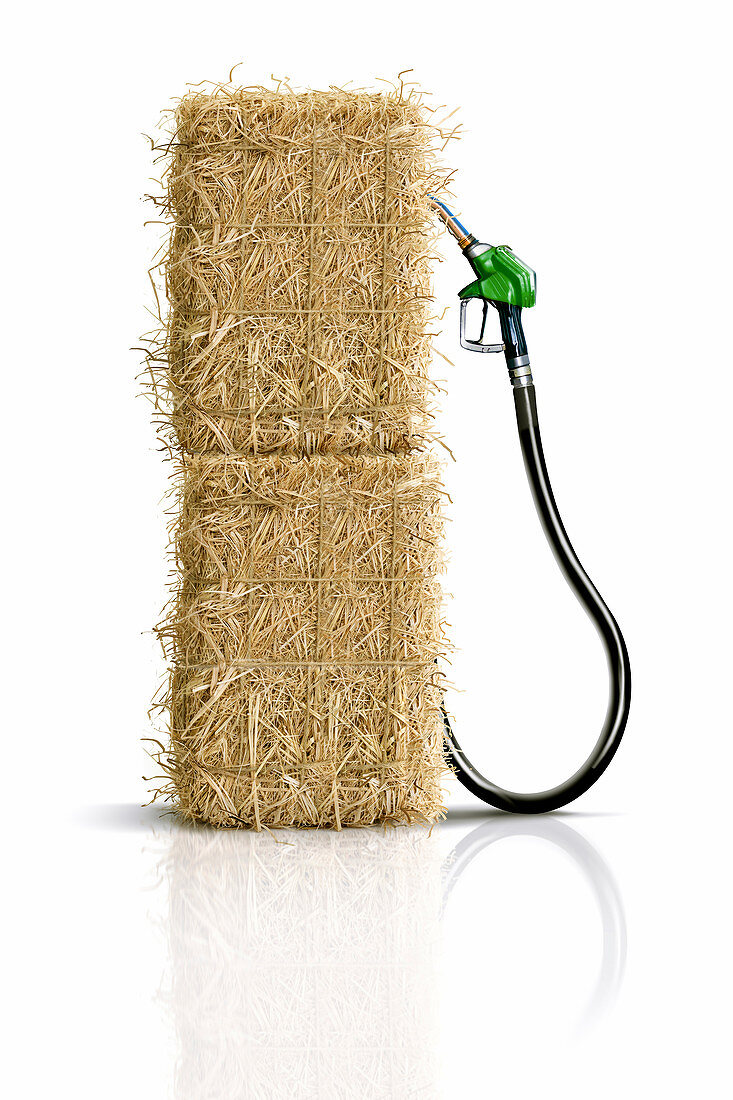Biofuel pump,conceptual image