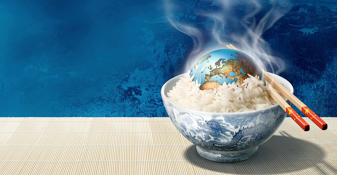 European rice bowl,conceptual image