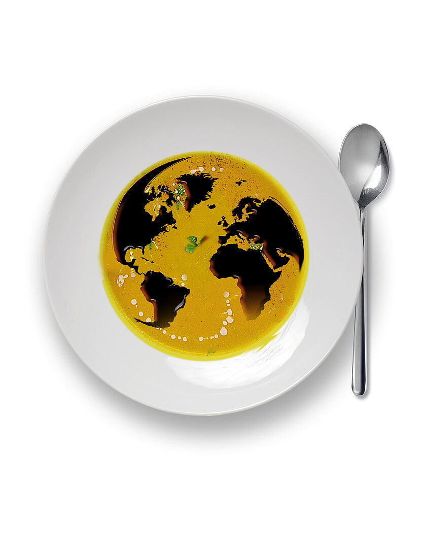 Global cuisine,conceptual image
