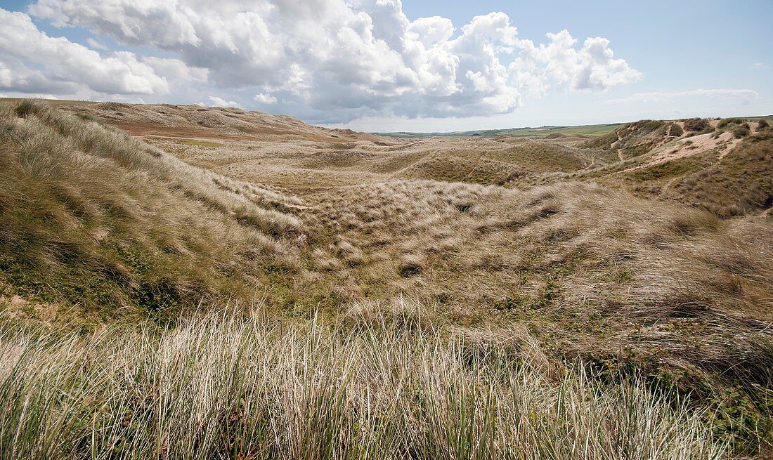 Sand dunes,Pembrokeshire,UK