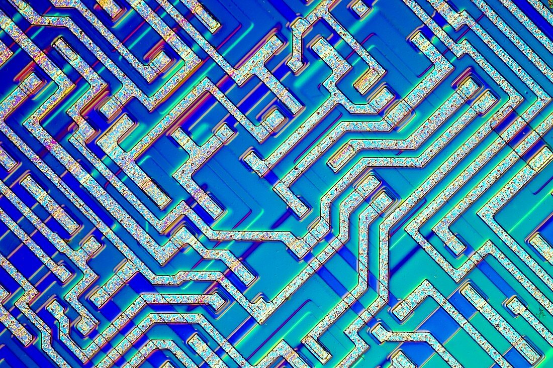 Microprocessor chip,light micrograph