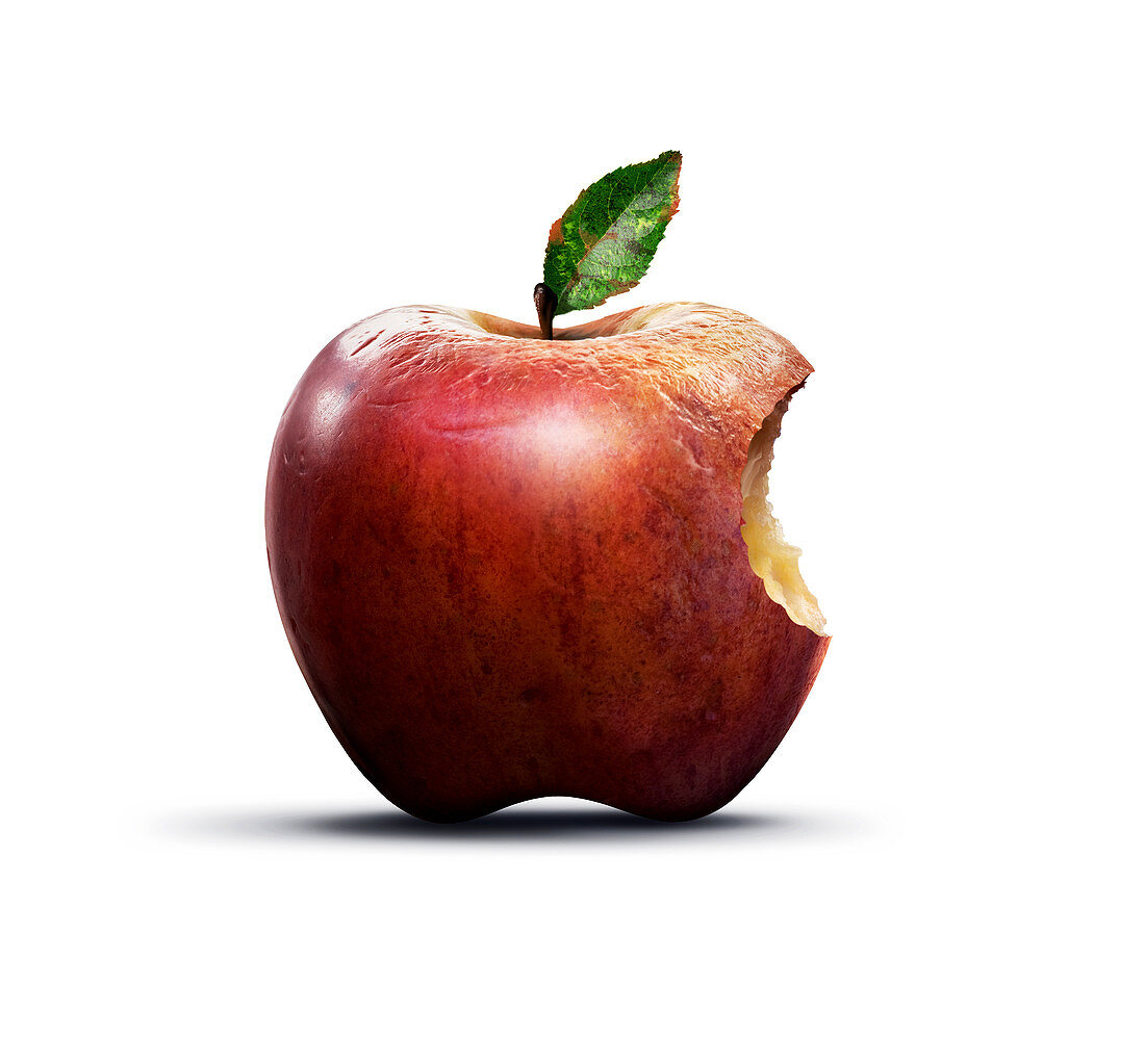 Apple of knowledge,conceptual image