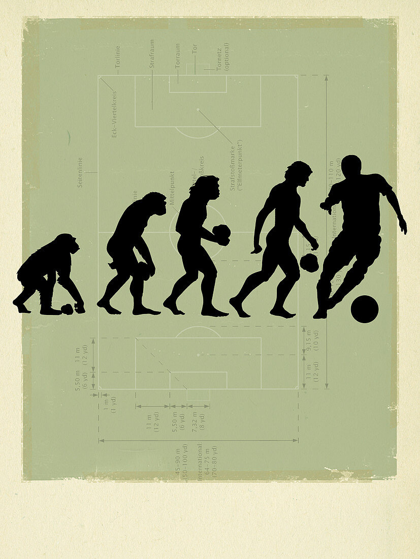 Human evolution,conceptual image
