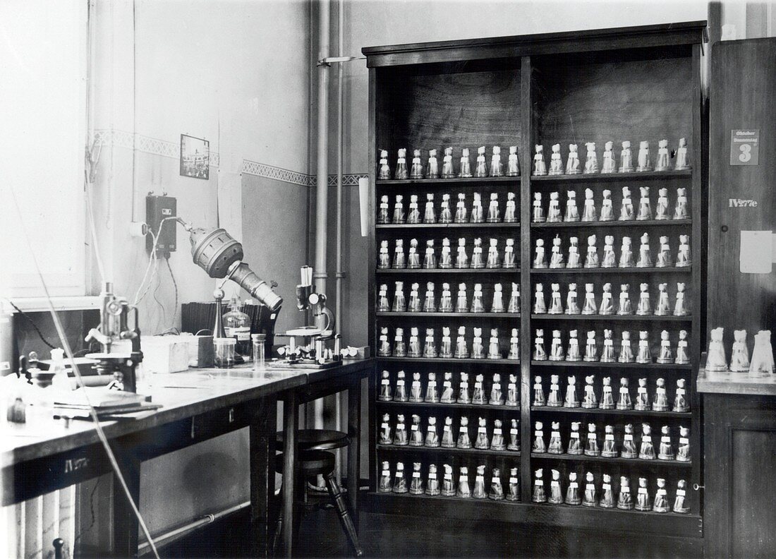 Genetics research fly room,1920s