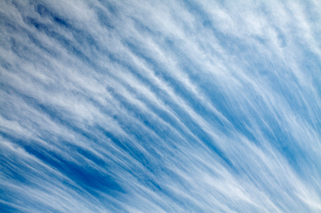 Cirrus clouds