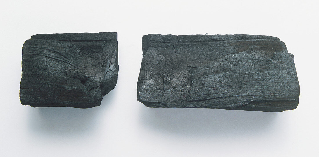 Two lumps of vine charcoal,close up