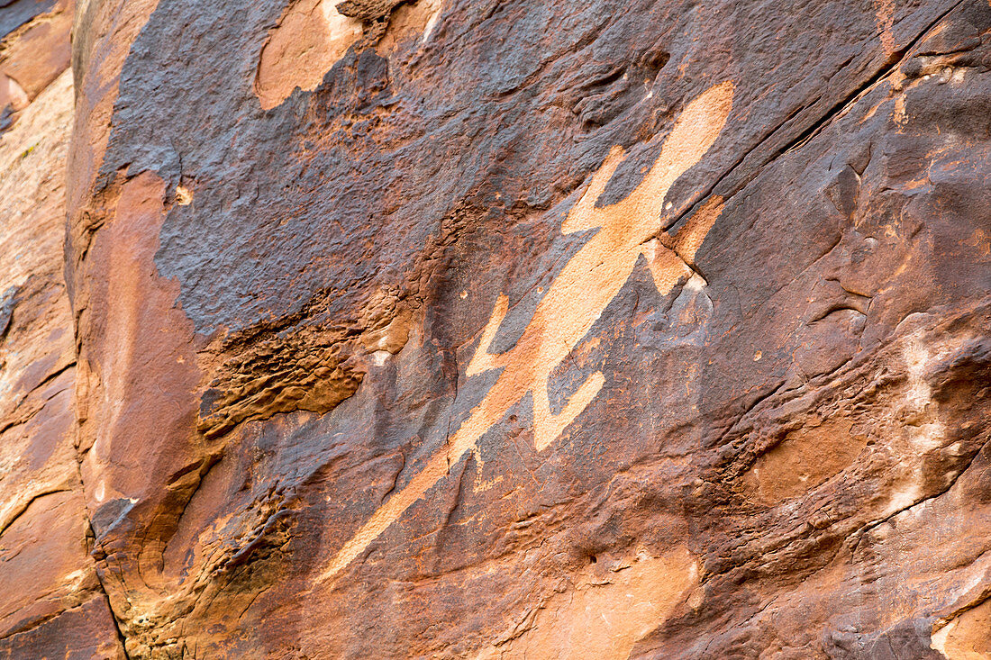 Lizard petroglyph on sandstone,USA