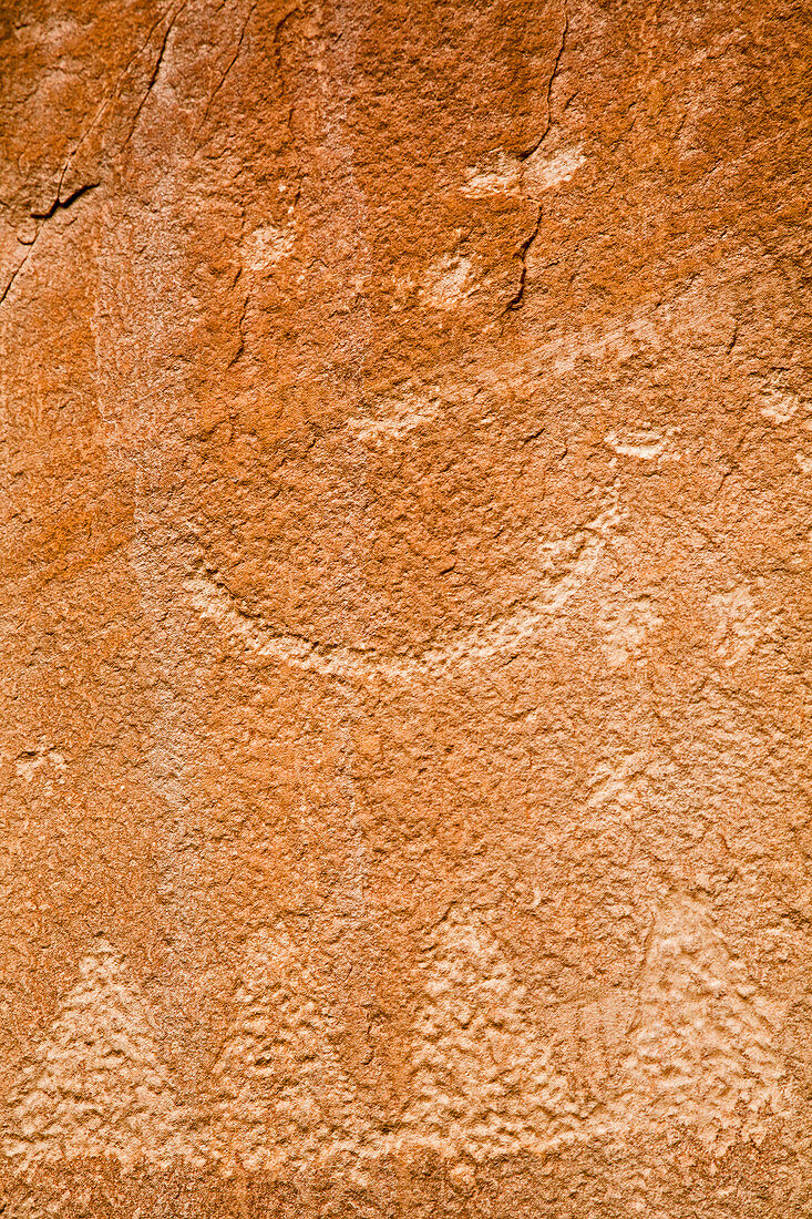 Petroglyphs on sandstone,USA
