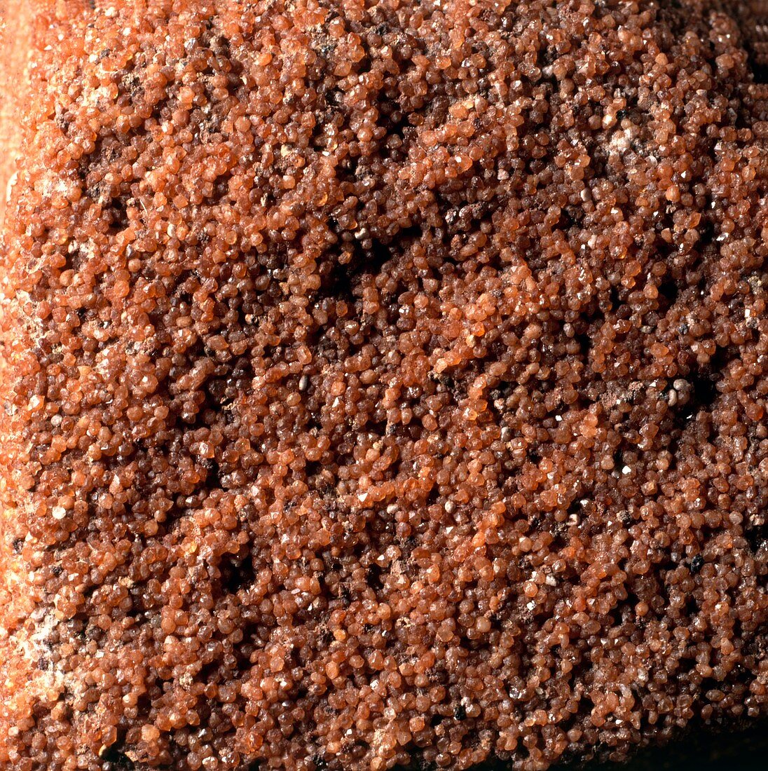 Magnification of grain of sandstone rock