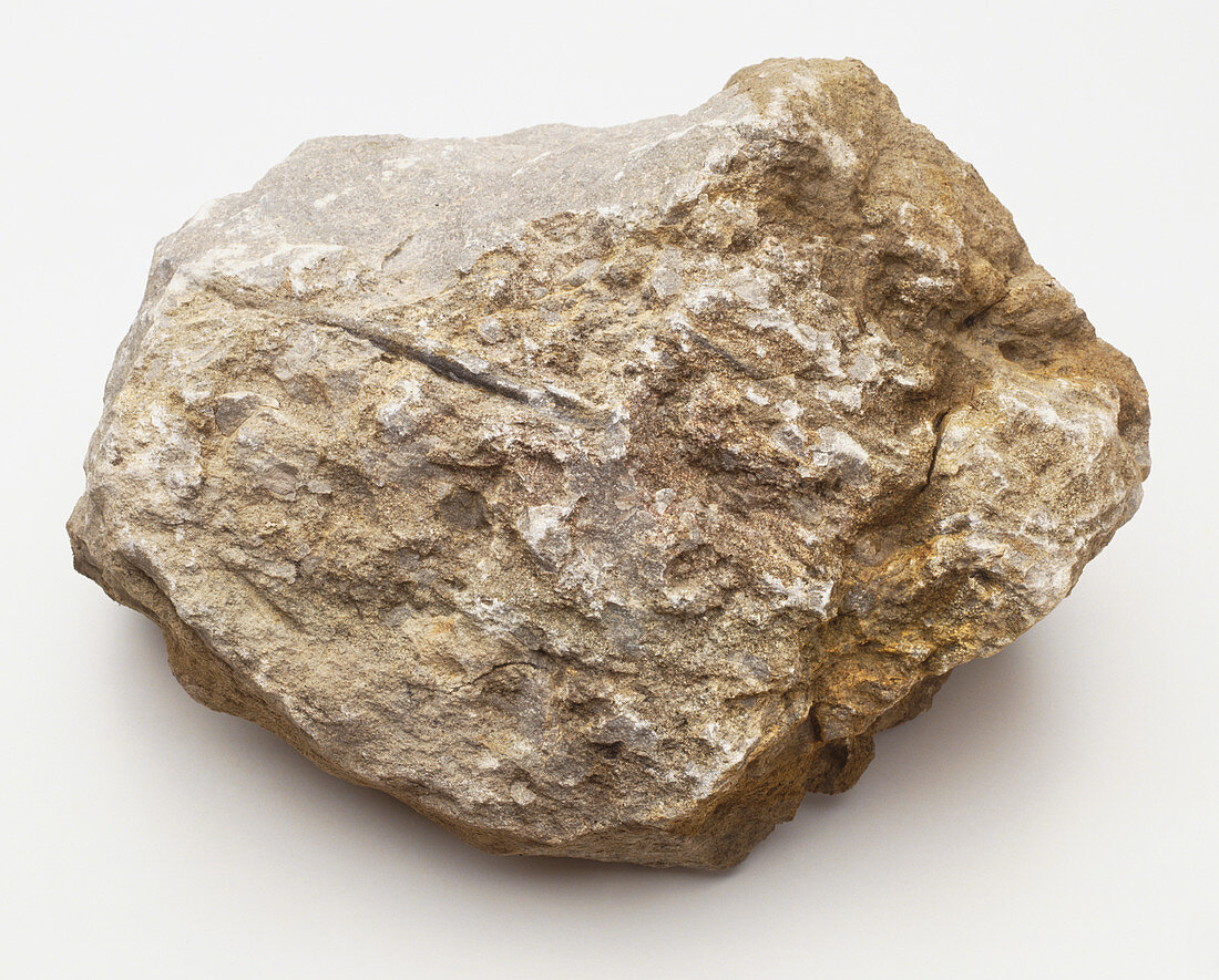 Limestone rock,close up