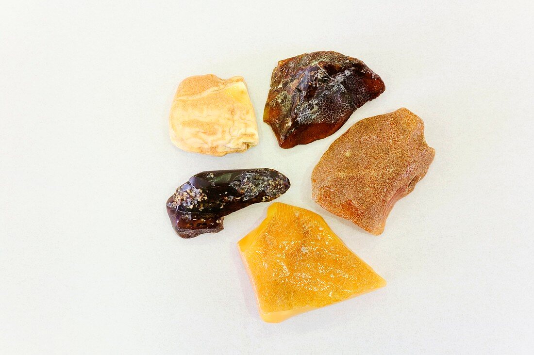 Unpolished pieces of amber