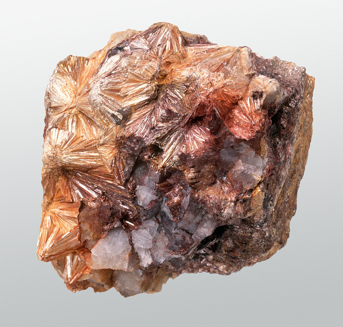 Pyrophyllite and quartz in groundmass