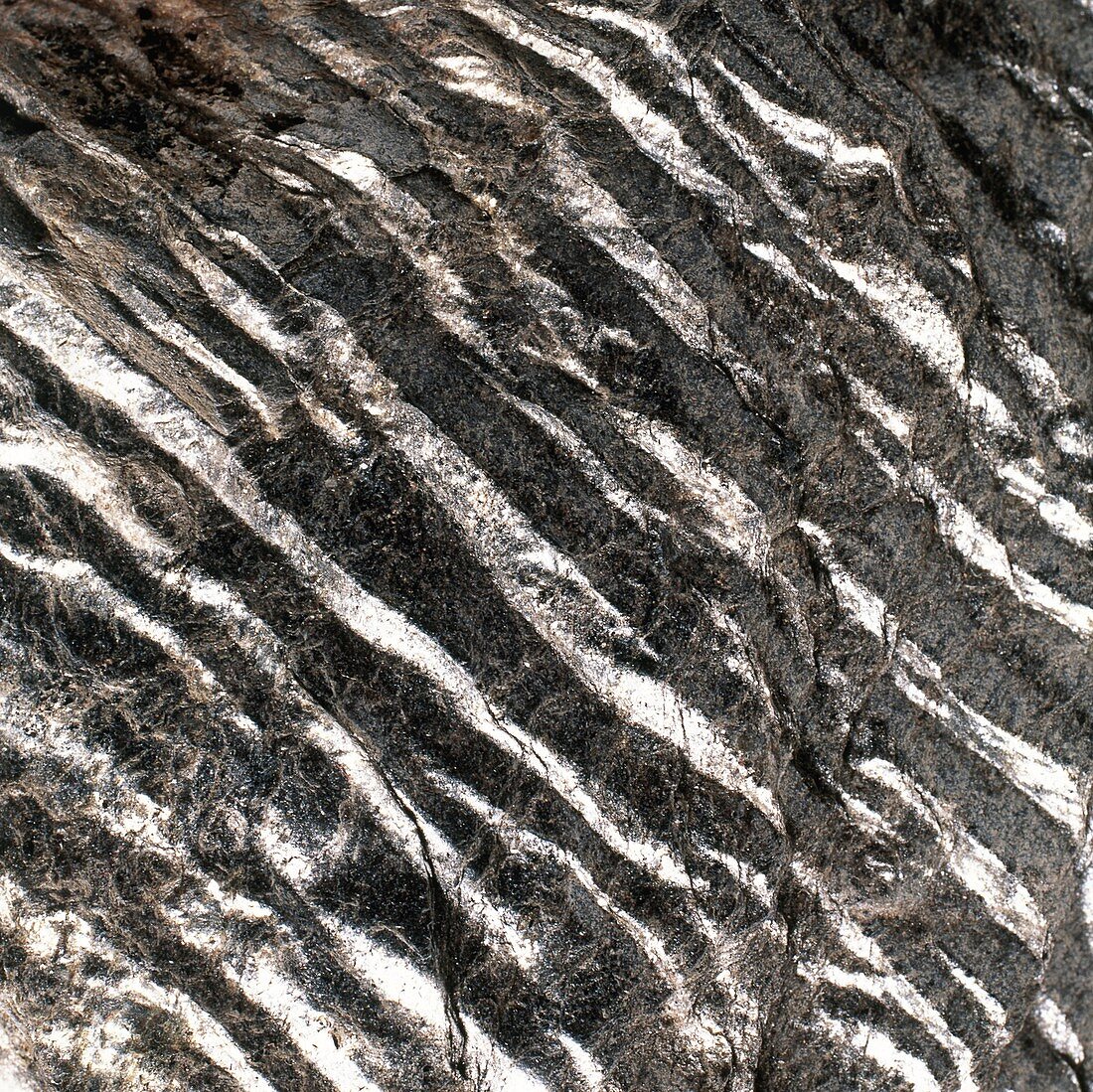 Magnification of grain of schist rock