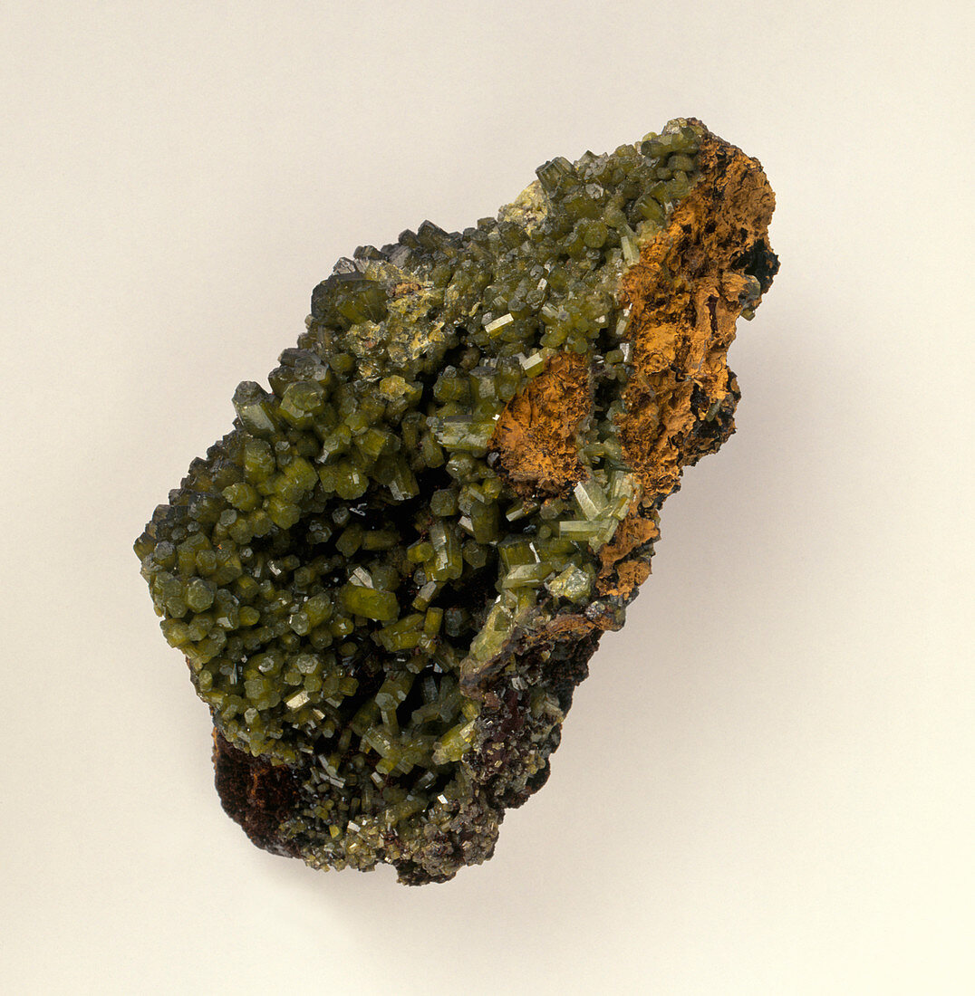 Pyromorphite in limonite groundmass