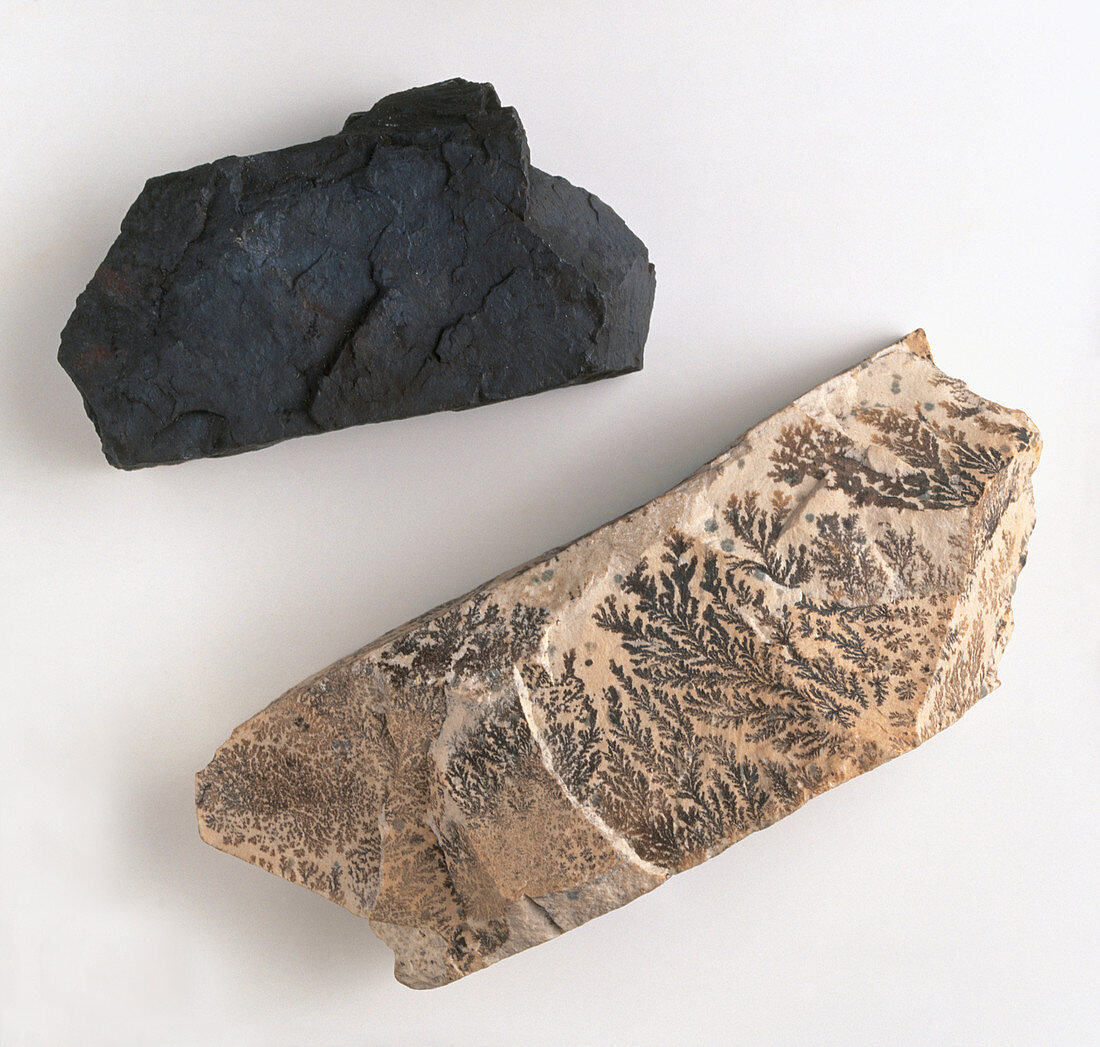 Pyrolusite on aplitic rock specimen