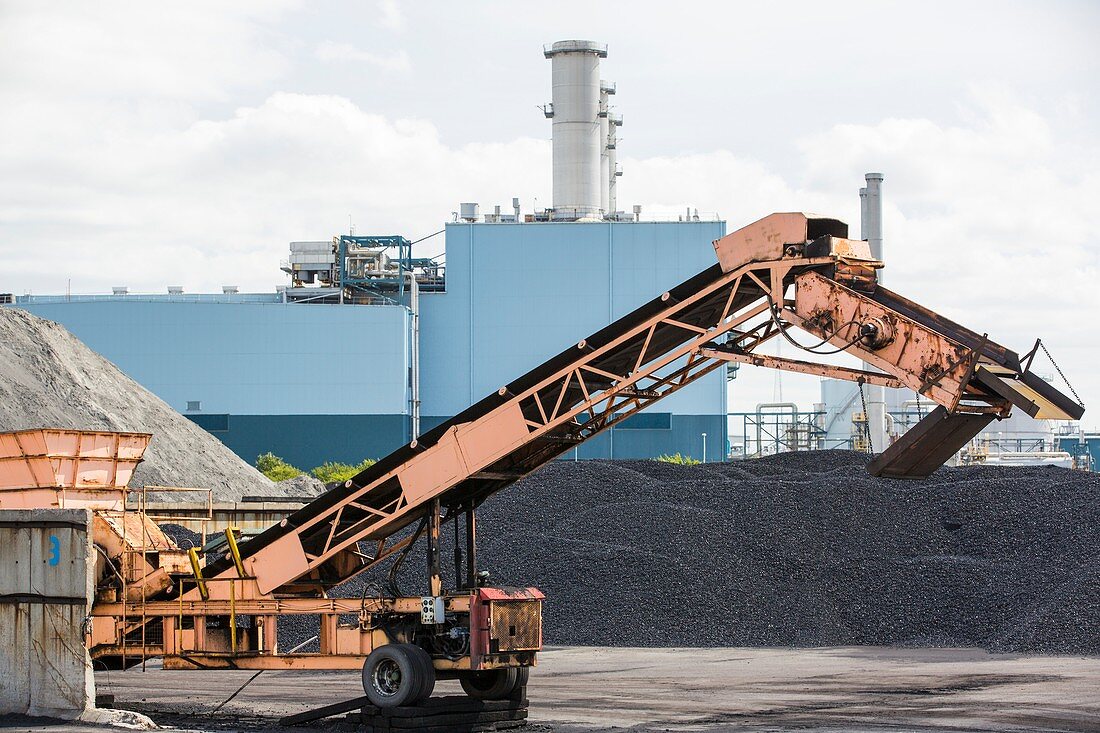 Coal on the docks in Hull