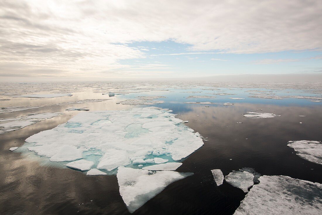 Rotten sea ice at over 80 degrees North