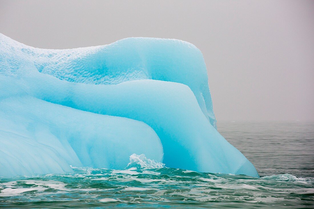 An iceberg from a glacier