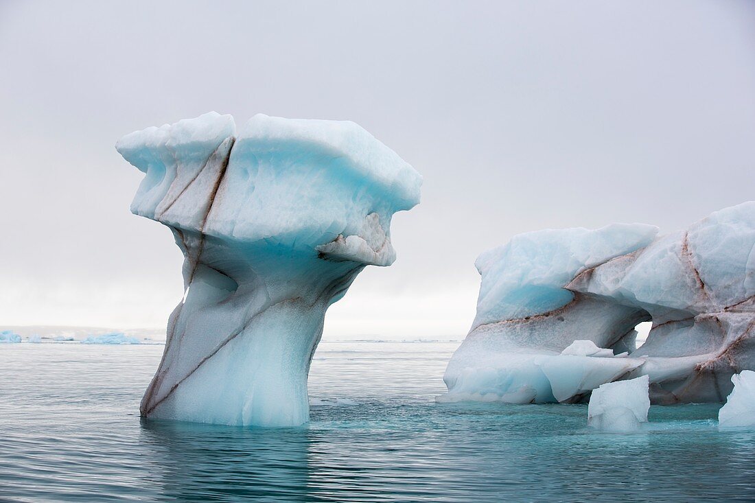 Icebergs from a glacier on Nordauslandet