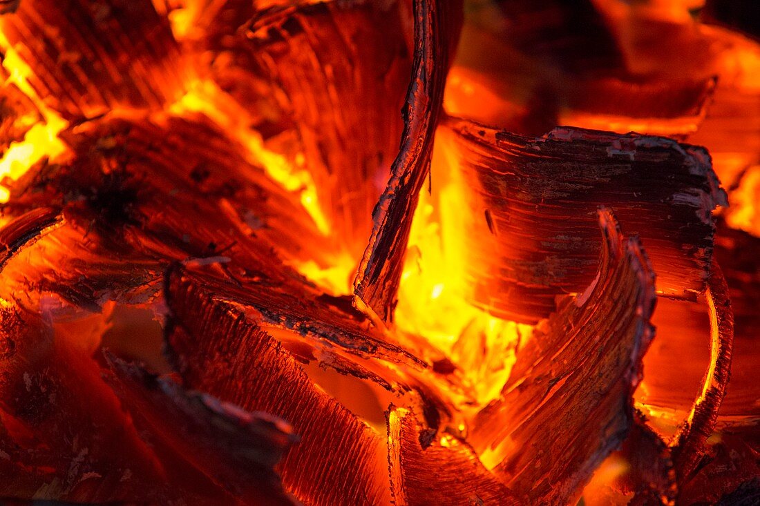Wood glowing on a fire