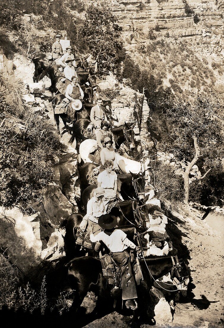Mule party,Grand Canyon,1930