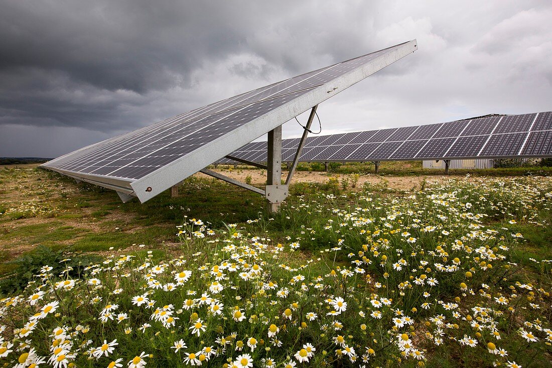 A solar park at Wheal Jane
