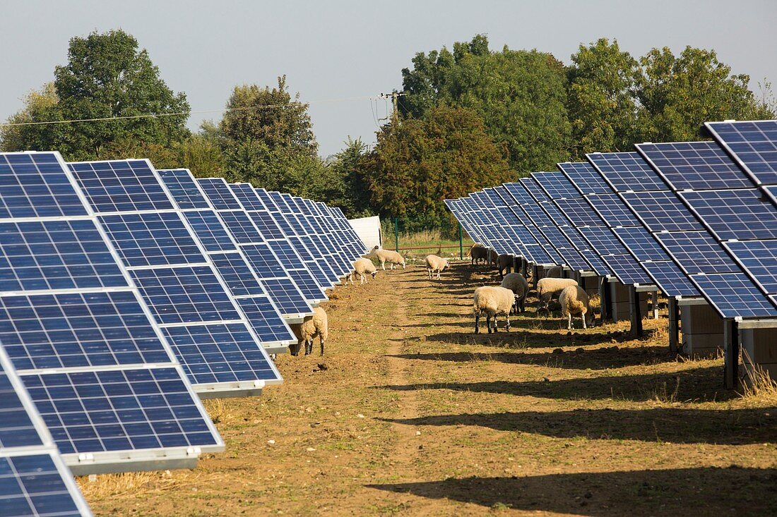 Wymeswold Solar Farm