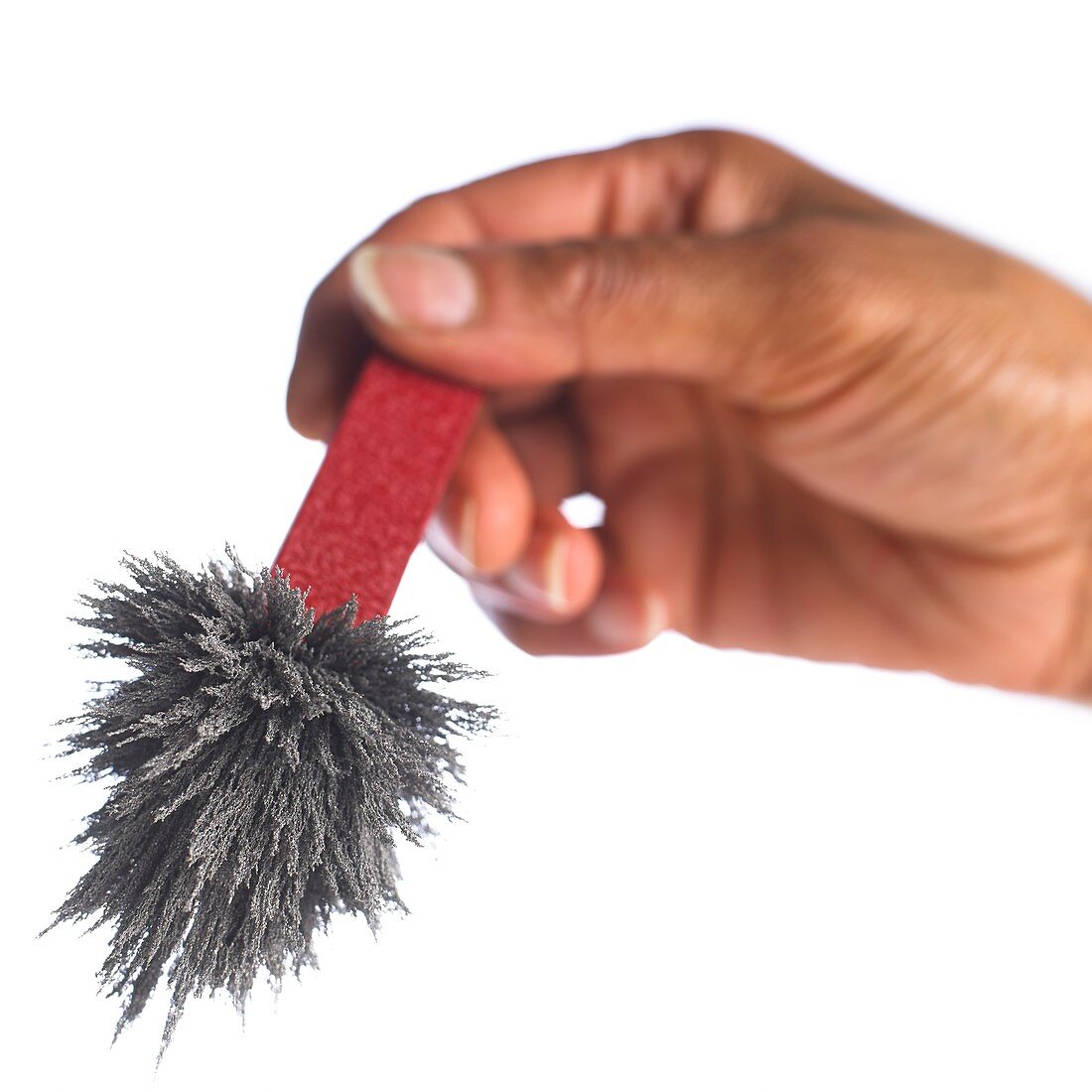 Iron filings on a magnet