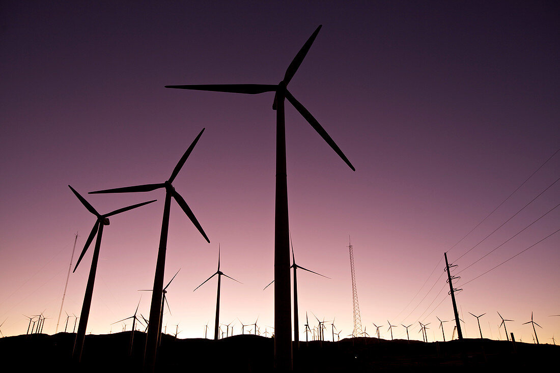 Wind turbines,California,USA