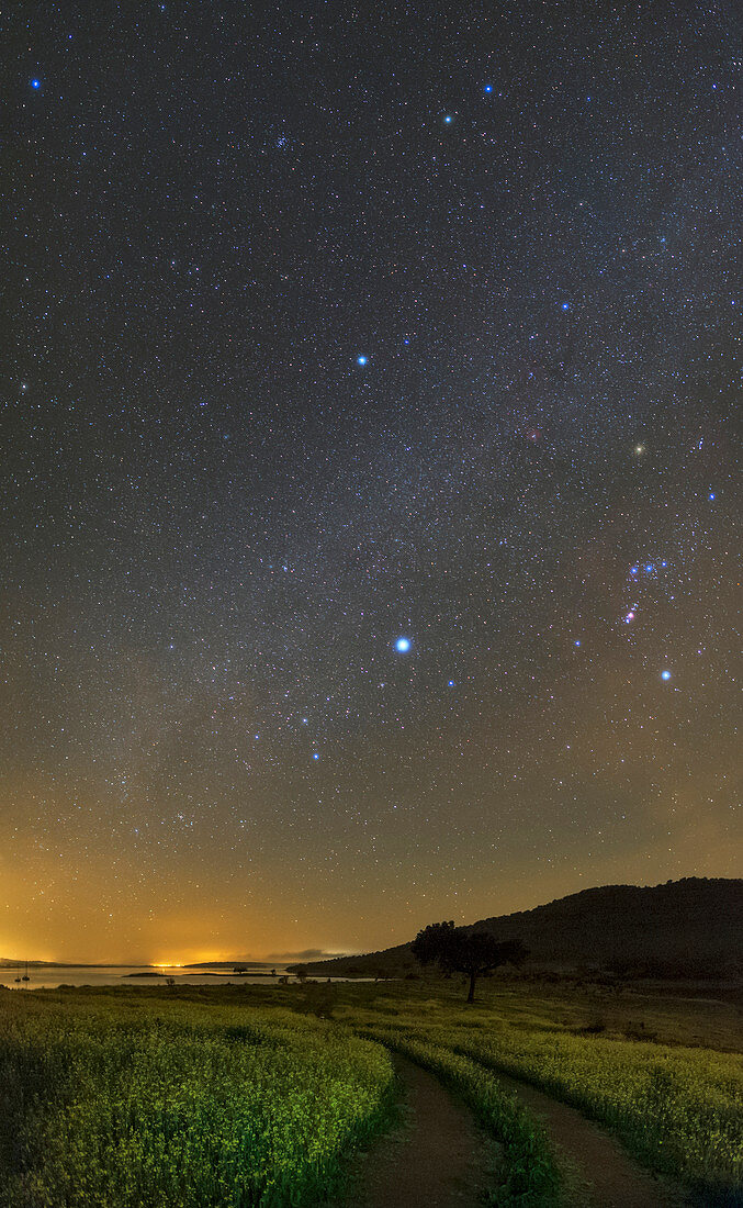 Night sky in dark sky reserve,Portugal