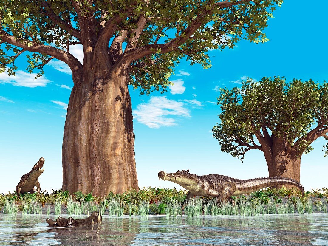 Kaprosuchus prehistoric crocodiles