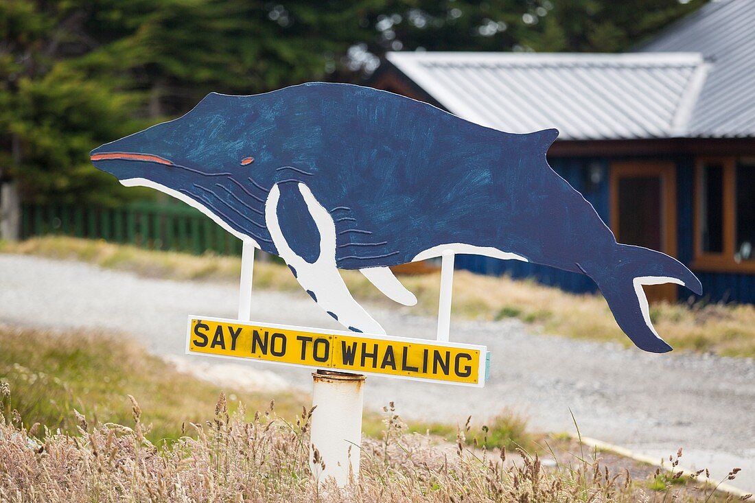 Whaling museum,Falklands