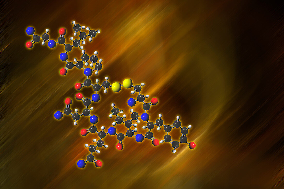 Oxytocin Molecular Model,illustration