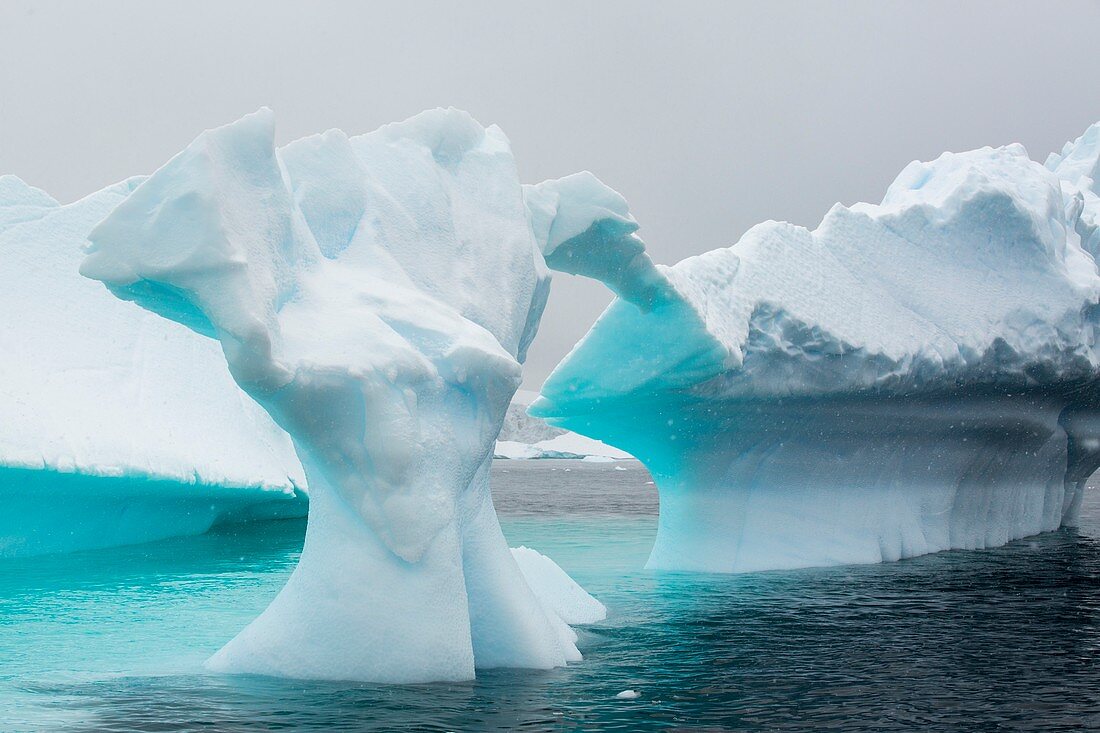 Icebergs off Curverville Island