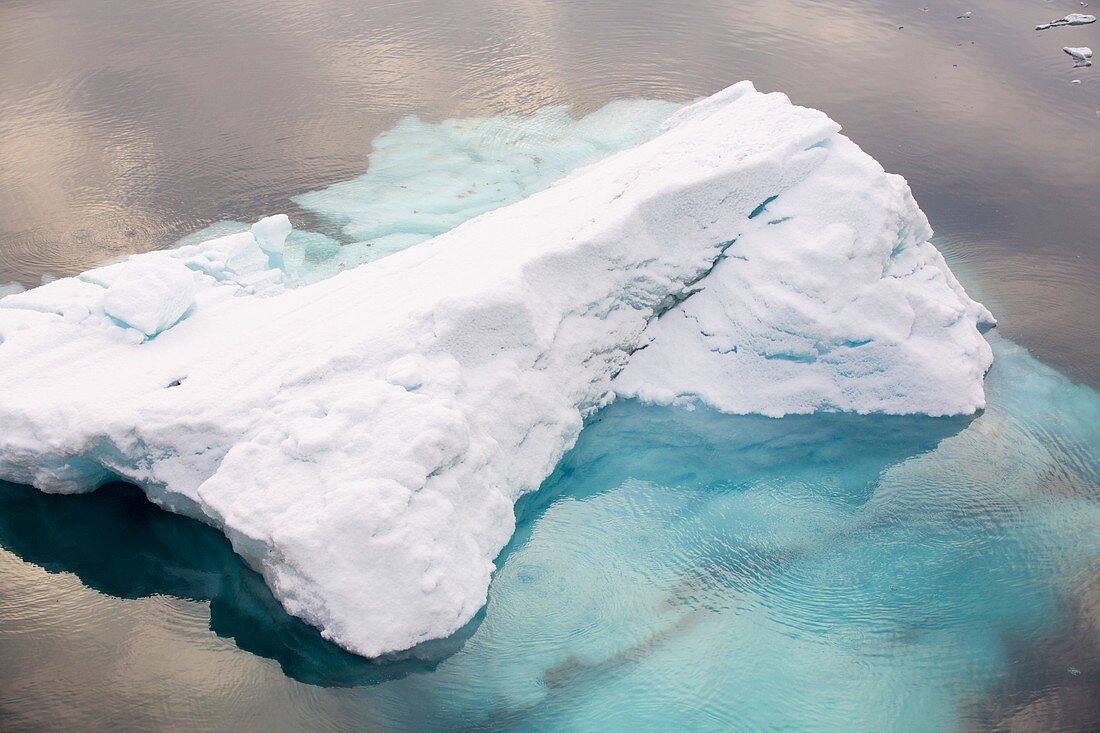 An iceberg in Paradise Bay