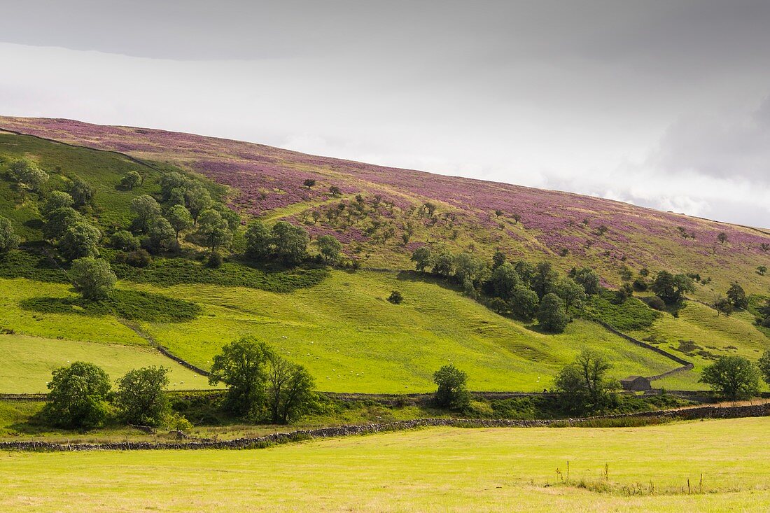 Littondale in the Yorkshire Dales