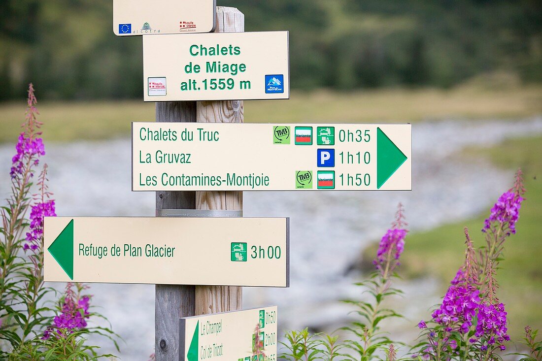 Footpath signs on the Tour du Mont Blanc